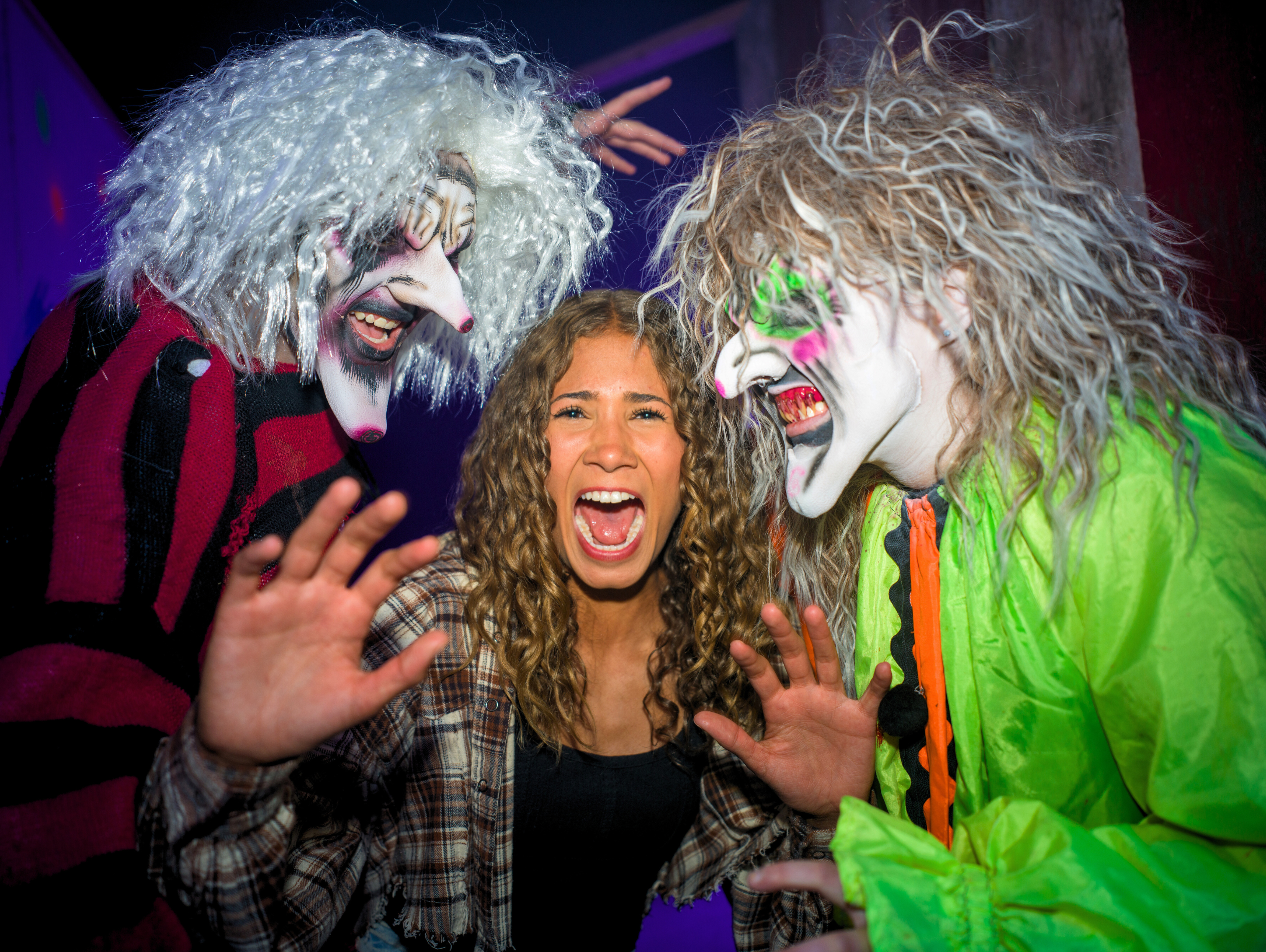 FRIGHT FEST BOXES (2)
