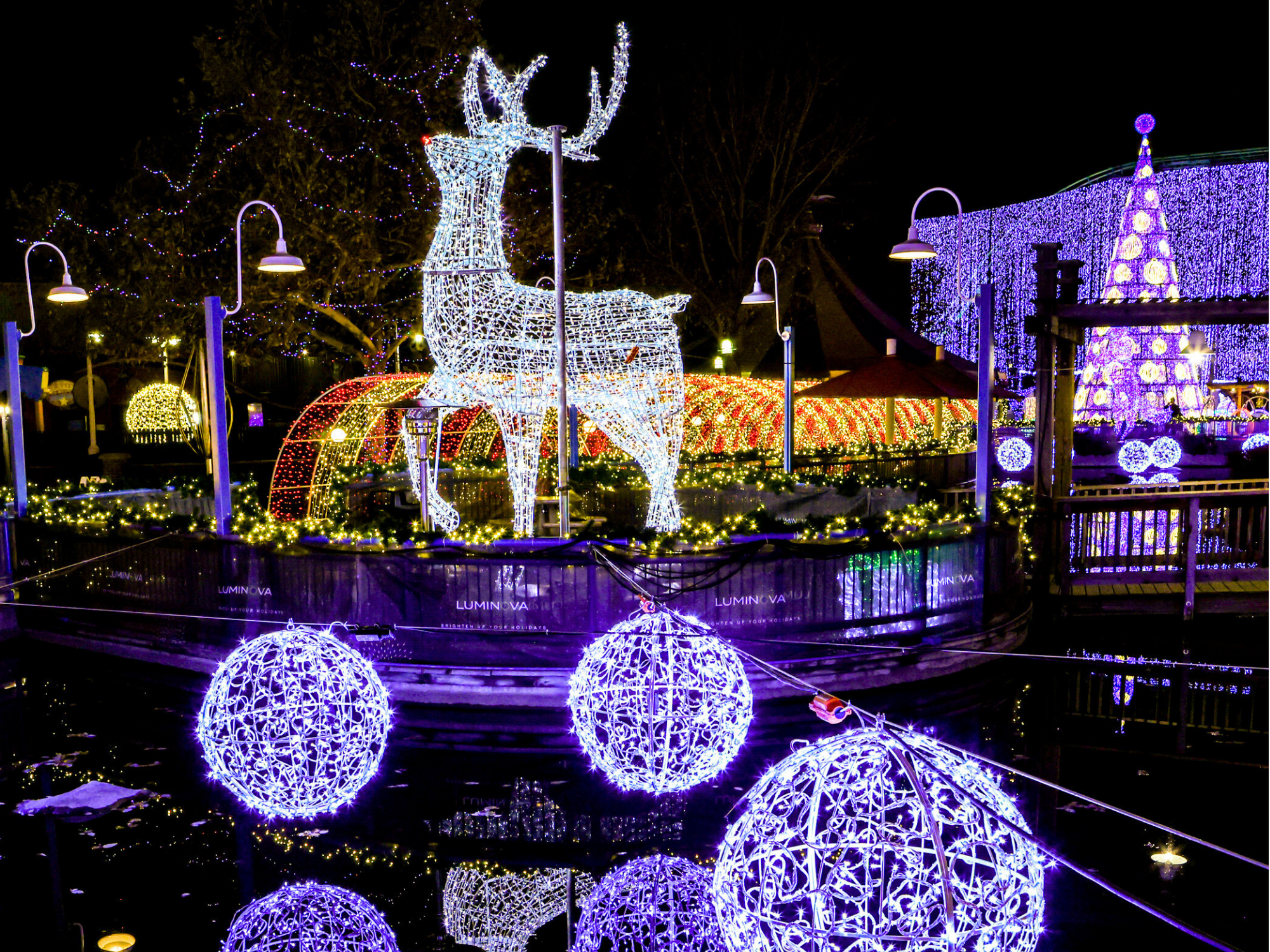group standing in the water